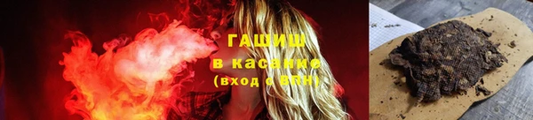 стаф Бородино