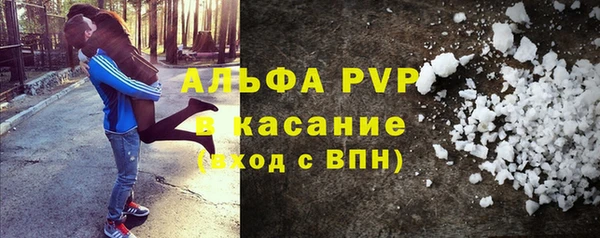 стаф Бородино