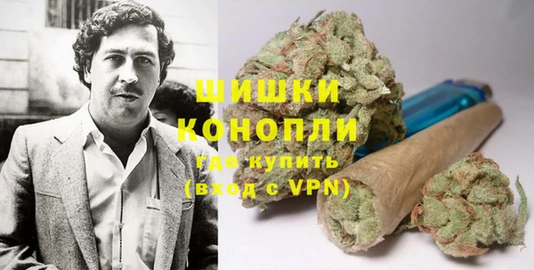 стаф Бородино