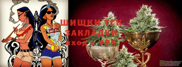 стаф Бородино