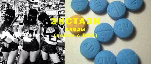 стаф Бородино